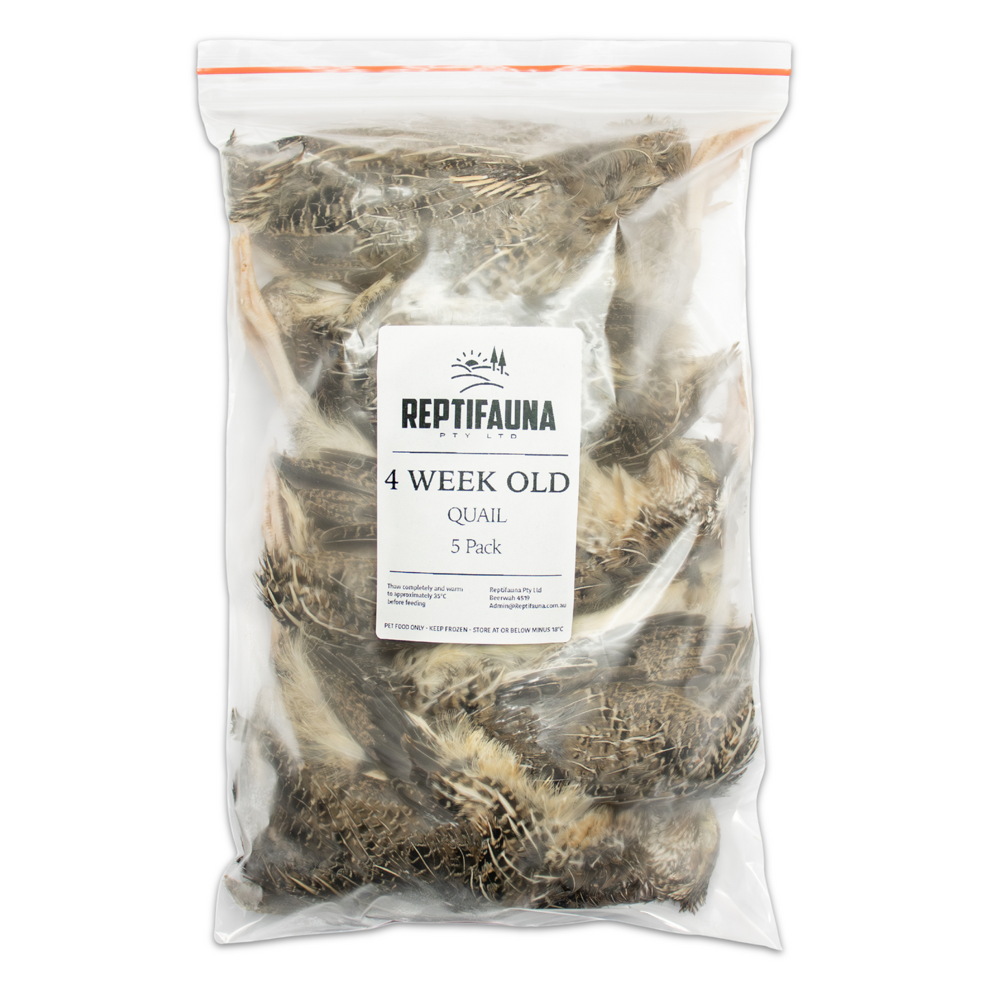 4 Week Old Quail Main Pack Image Front