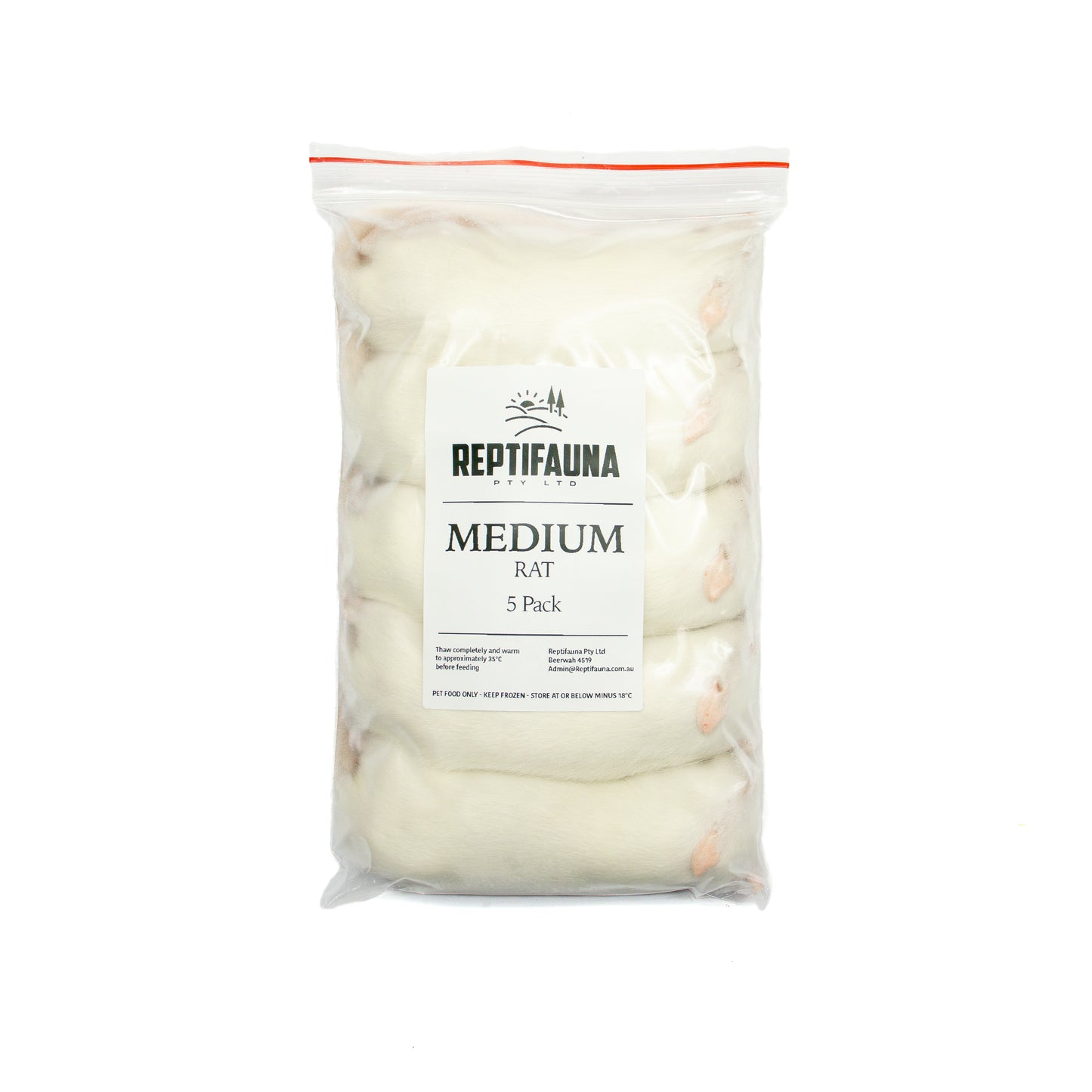 Frozen Rats: Medium