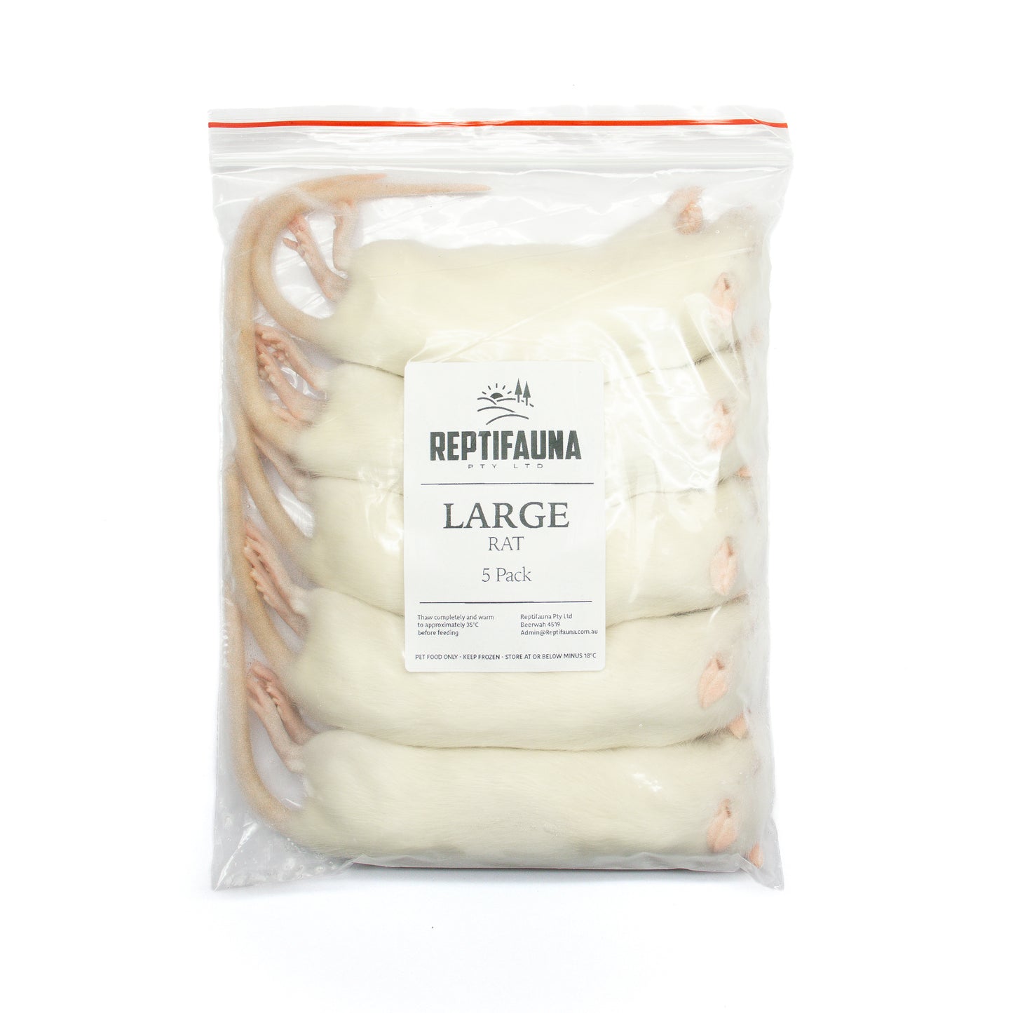 Frozen Rats: Large