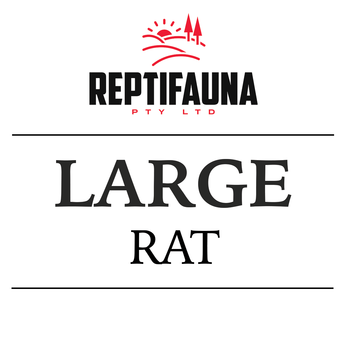 Frozen Rats: Large