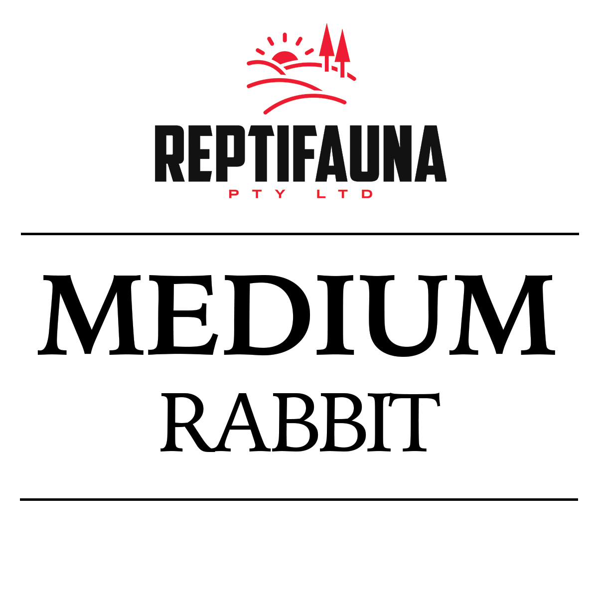 Frozen Rabbits: Medium