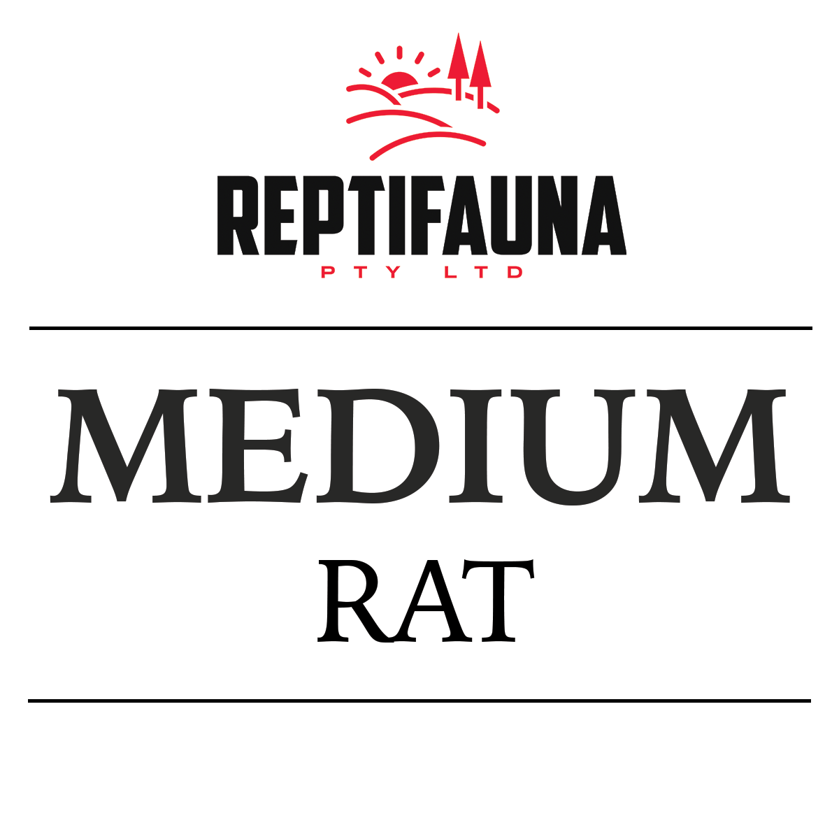 Frozen Rats: Medium