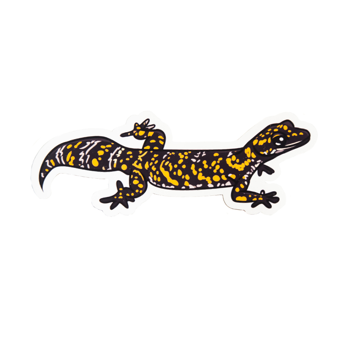 Northern Marbled Gecko Sticker