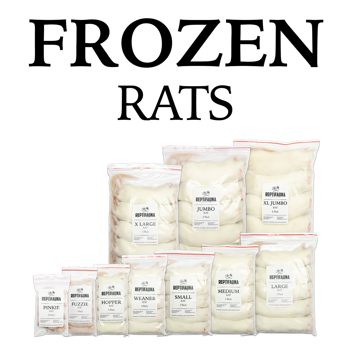 Frozen Rats – Reptifauna