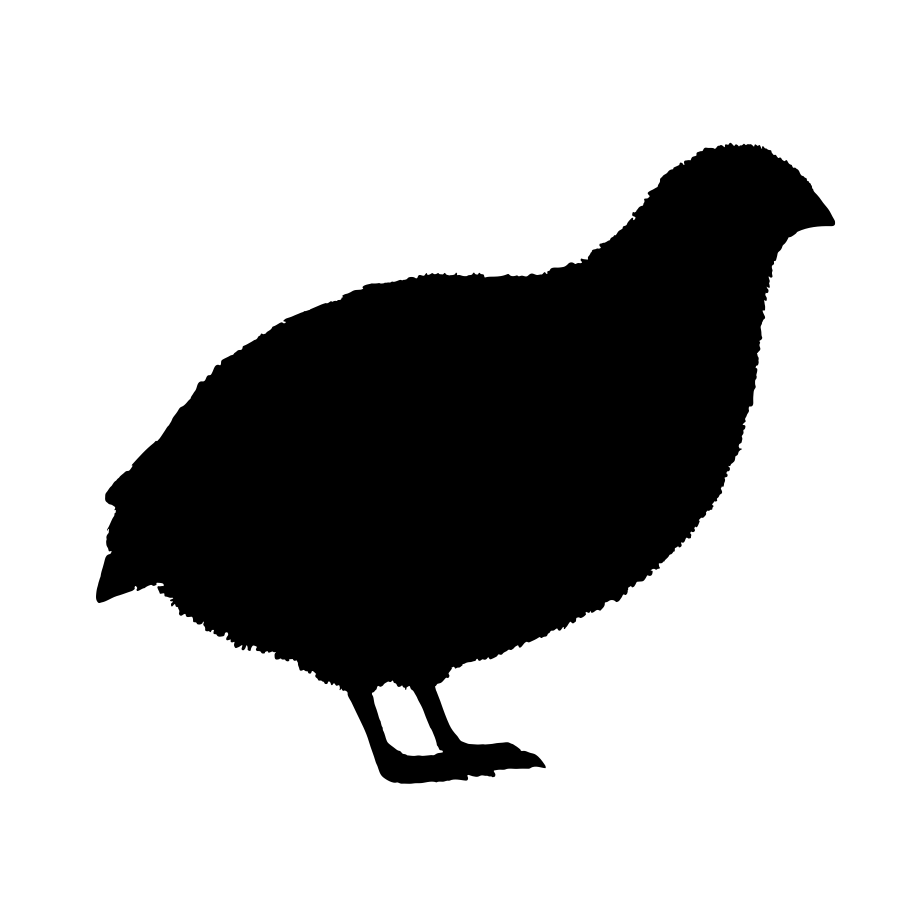 Frozen Quail