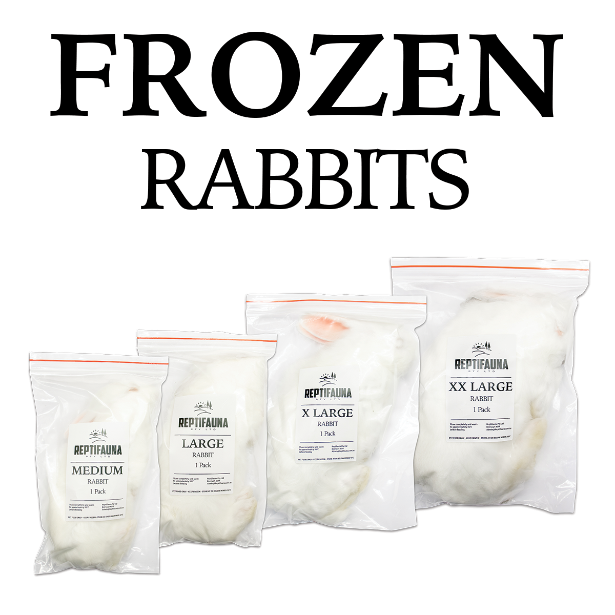 Frozen Rabbits – Reptifauna