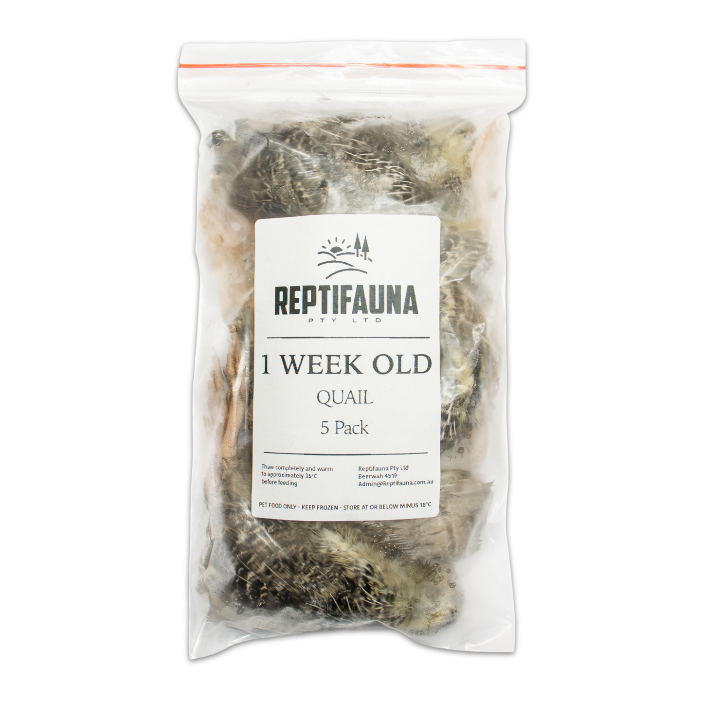 1 Week Old Quail Main Pack Image Front