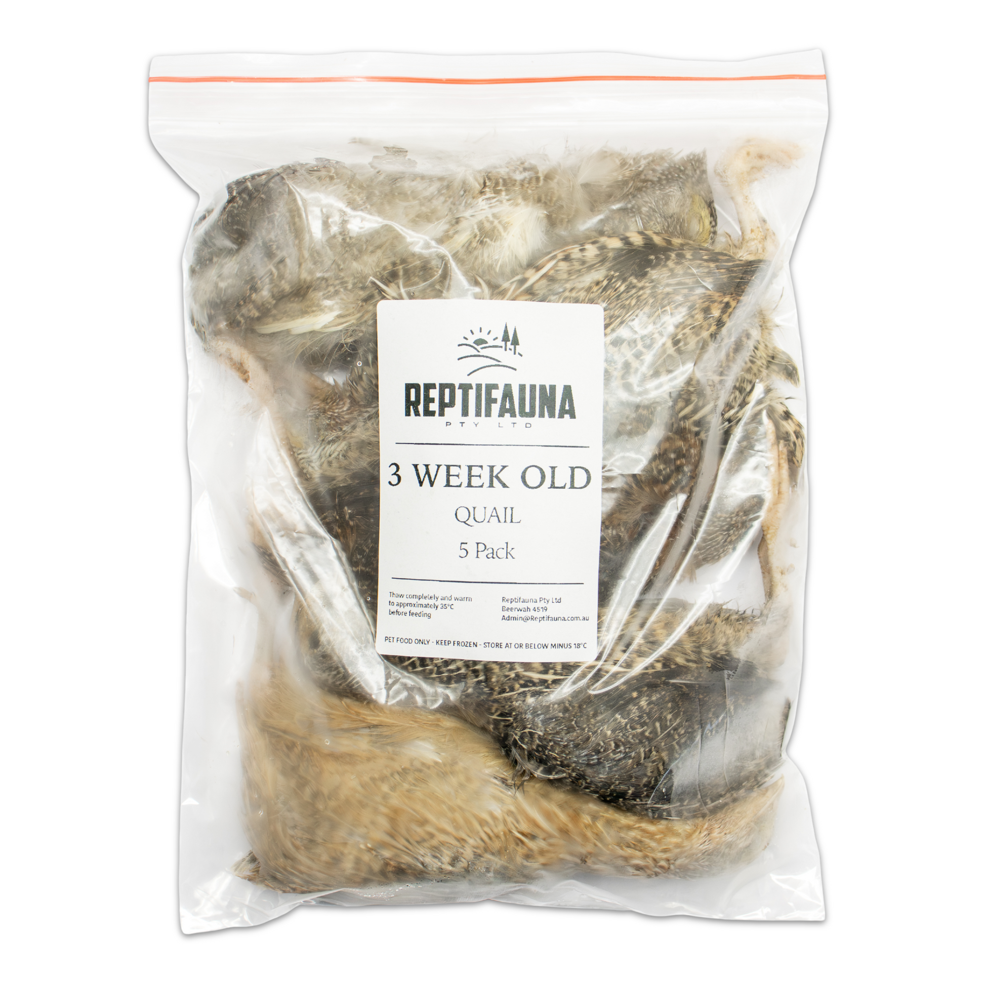 3 Week Old Quail Main Pack Image Front