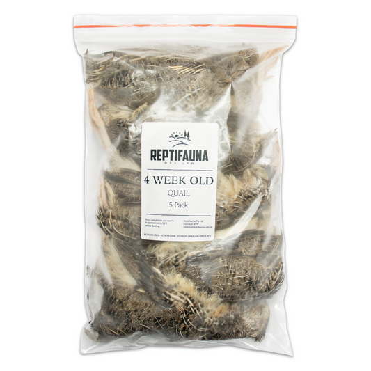 Breeding Quail Frozen Thawed Diet Plan photo