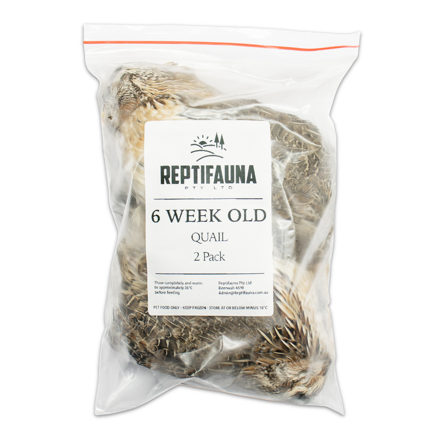 6 Week Old Quail Main Pack Image Front