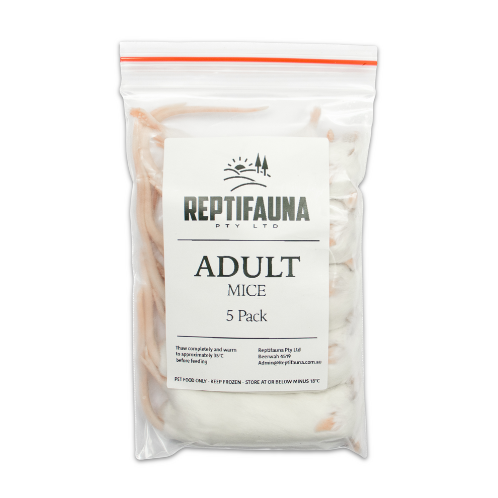 The Livefood Warehouse Frozen Adult Mice