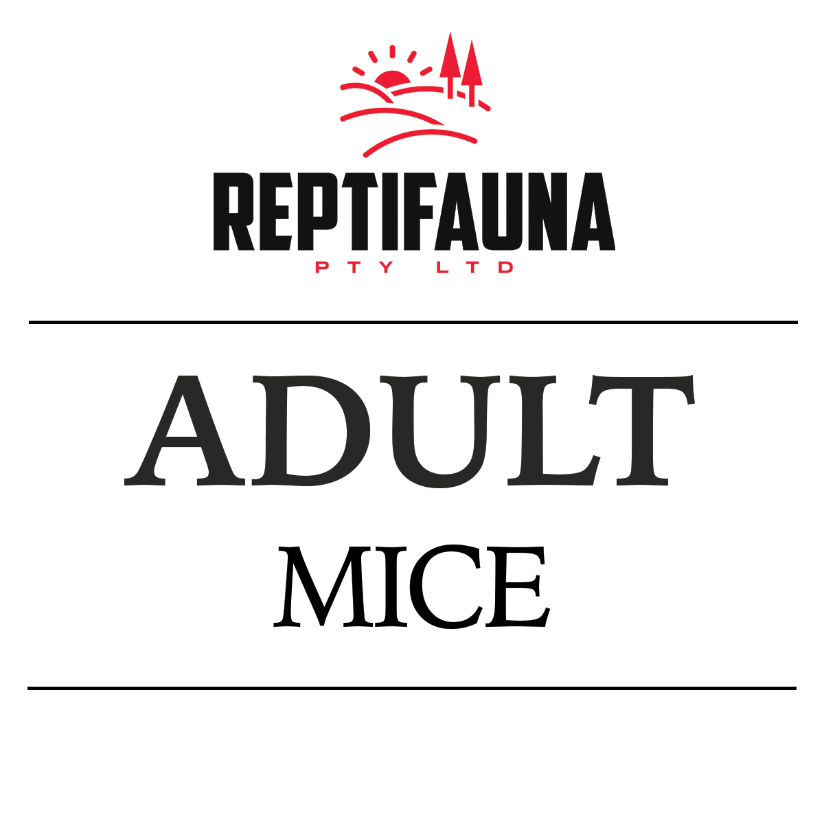 Frozen Mice: Adult