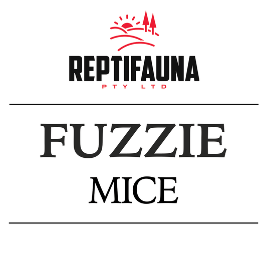 Frozen Mice: Fuzzy