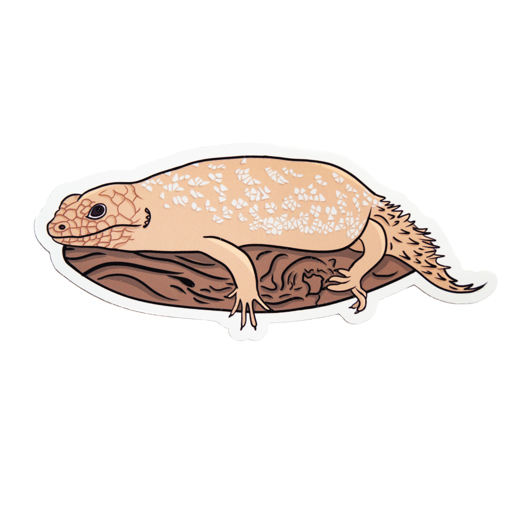 Gidget Gein Sticker Gidgee Skink Sticker – Reptifauna
