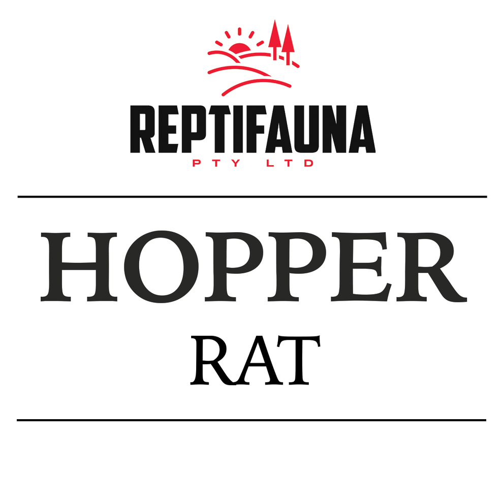Ridgeway rats sauteurs congelés