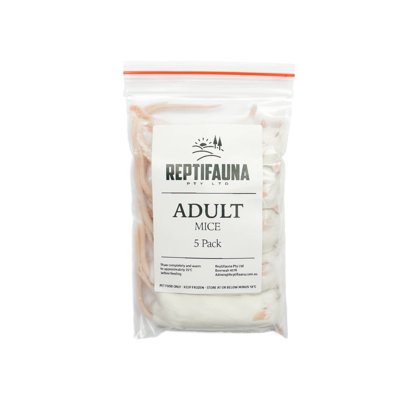 Frozen Mice: Adult