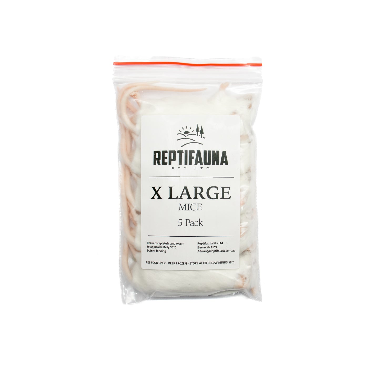 Frozen Mice: XL Adult