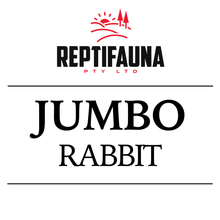 Jumbo Frozen Rabbit Cover Image