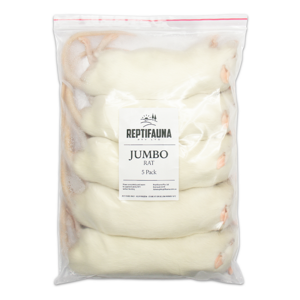 Frozen Rats: Jumbo – Reptifauna