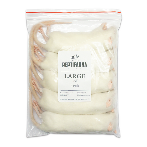 Frozen Rats: Large – Reptifauna