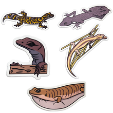 10pc Sticker Bundle 2