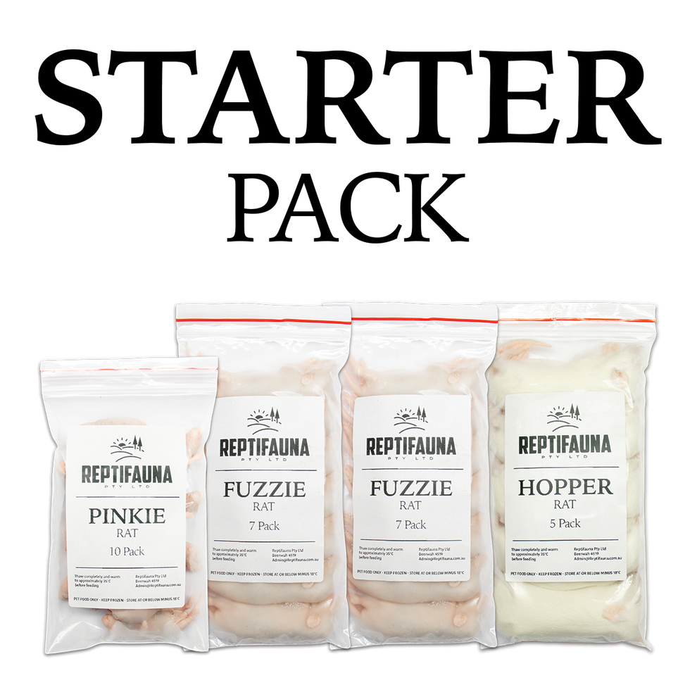 Large Snake Starter Bundle – Reptifauna