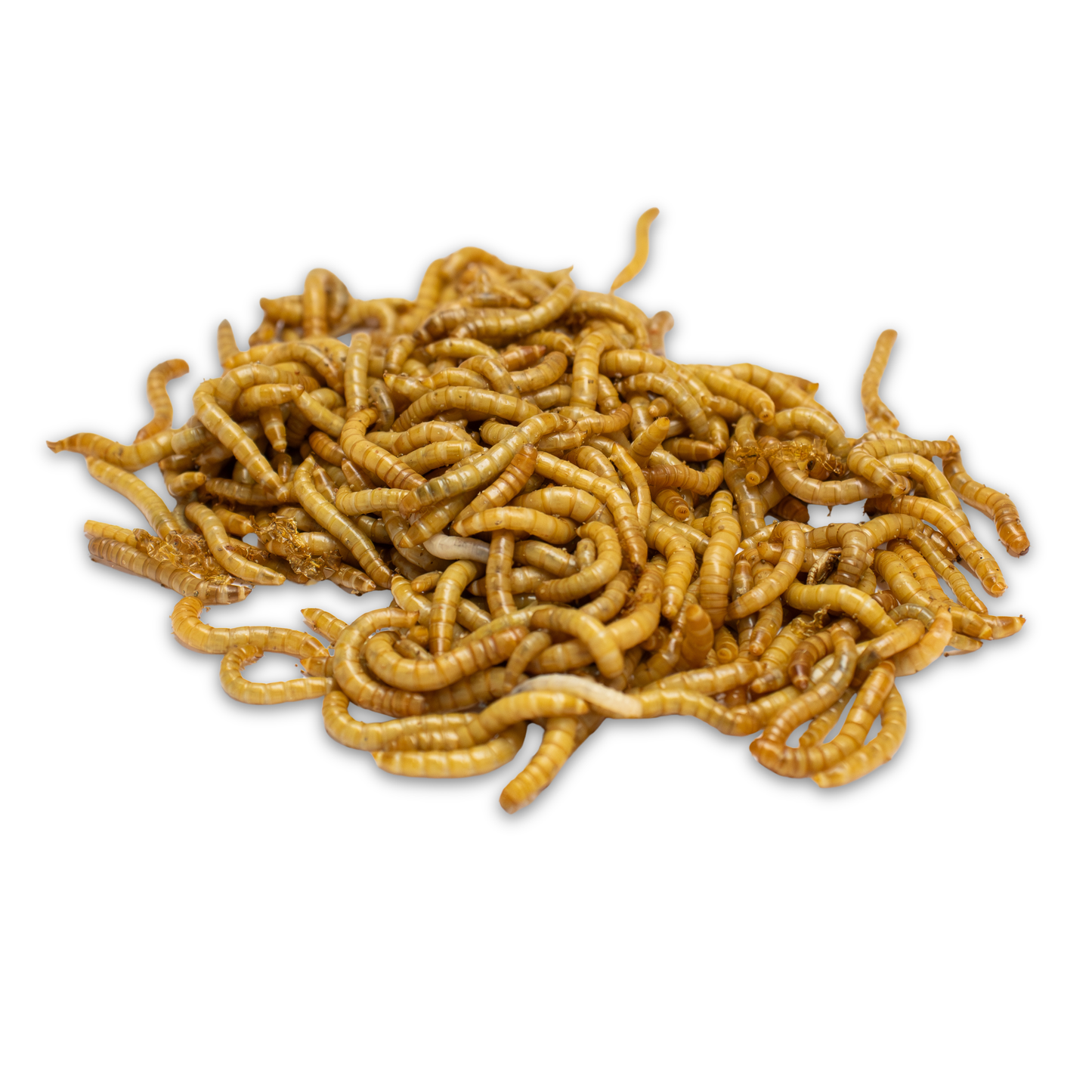 Mealworms