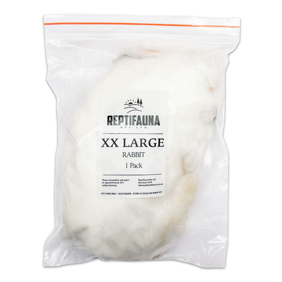 Freezed Rabbit Frozen Rabbits: XX Large – Reptifauna