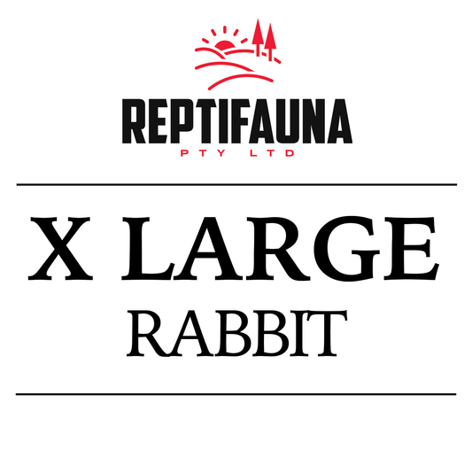 Frozen Rabbits: X Large