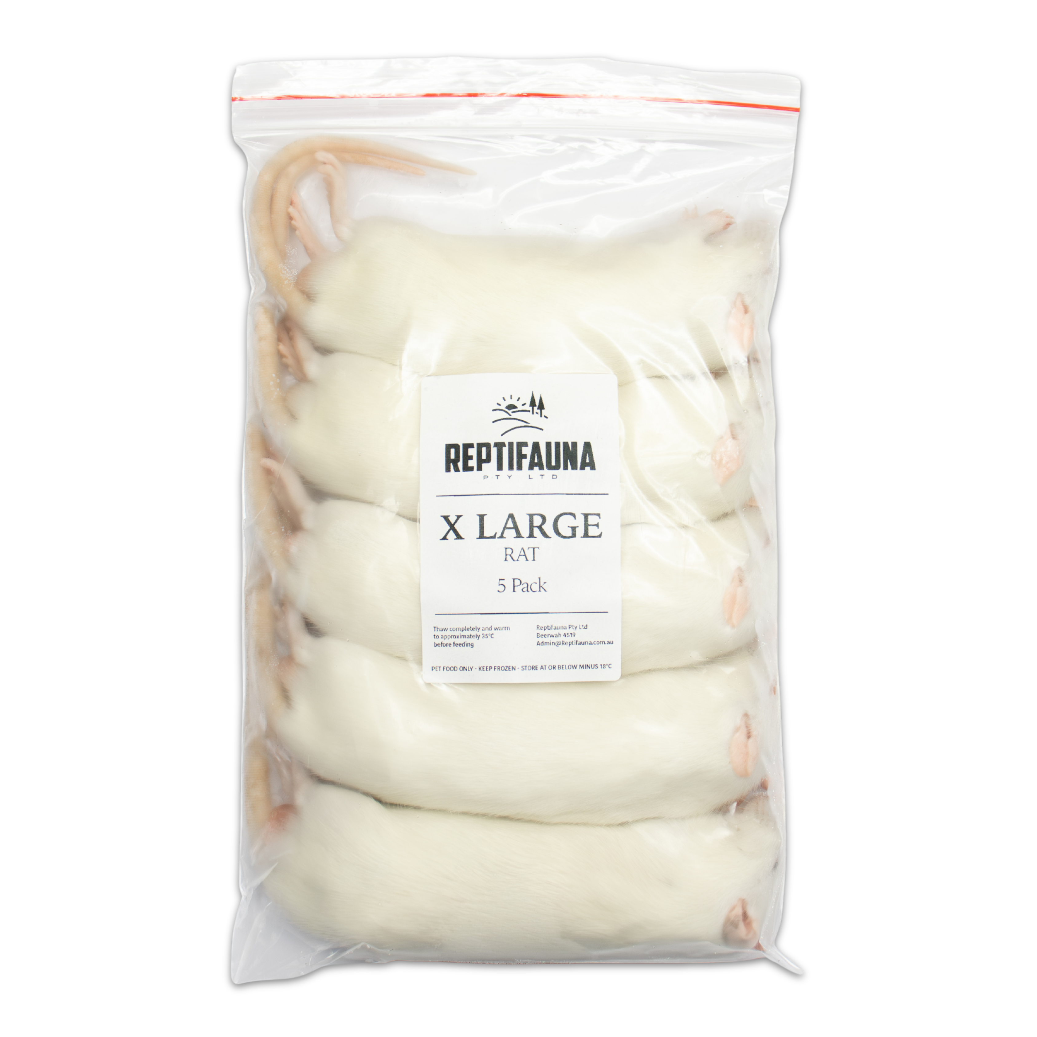 Frozen Rats: X Large – Reptifauna