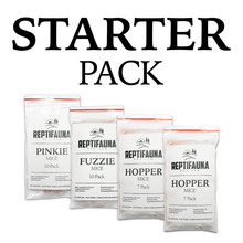 Small Snake Starter Bundle
