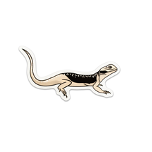 Central Netted Dragon Sticker